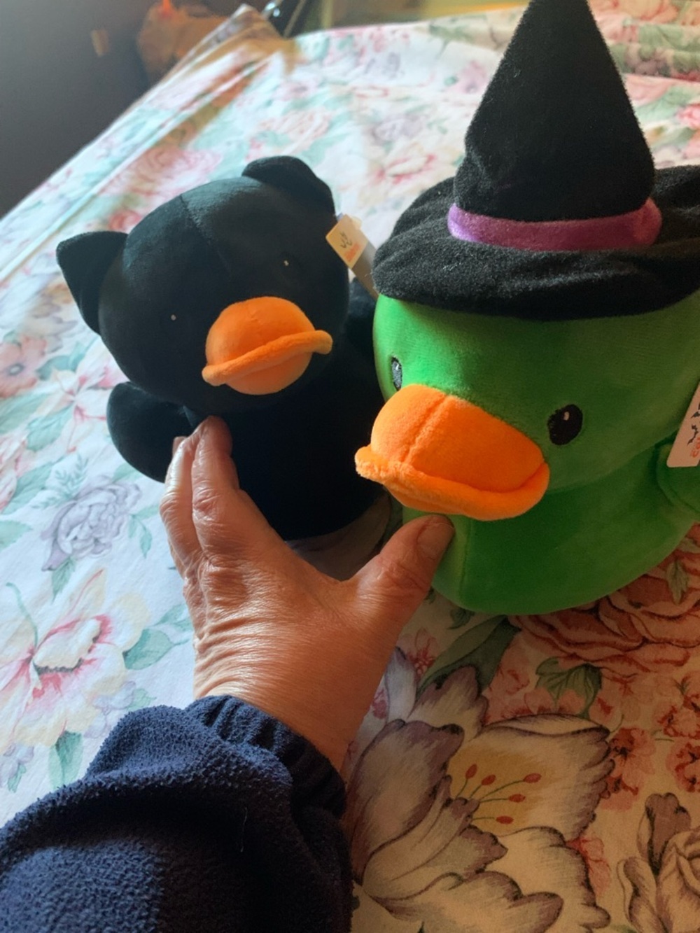 Stuffed Duck Halloween Bundle of 2